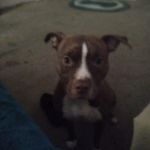 Tammy Sandifer - @tammy.sandifer.779 - Instagram