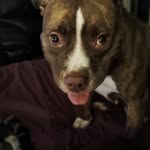 Tammy Sandifer - @queenbee2126 - Instagram