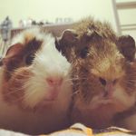Tammy & Sandy - @tammy_sandyjonesklimko - Instagram