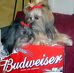 Tammy Sandy - Facebook