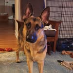 Tammy Dover Paschall - @paschalltammy - Instagram