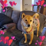 Tammy Durfee - @tammyschaller2000 - Instagram