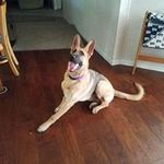 Tammy Schapansky - @tammyschapansky - Instagram