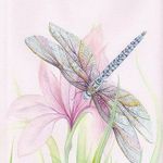 Tammy Schapansky - @artyst62 - Instagram