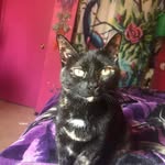 Tammy Schell - @t.schell1967 - Instagram