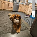 Tammy Schellong - @schellongtammy - Instagram