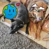 tammyschellong - @tammyschellong - TikTok