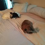 Tammy Schexnayder - Facebook