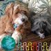 Tammy L Anseth Schiller - Facebook