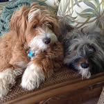 Tammy L Anseth Schiller - @tammyschiller9 - Instagram