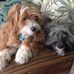 Tammy L Anseth Schiller - Facebook