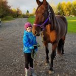 Tammy Schilling - @tammy.schilling.52 - Instagram