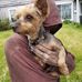 Tammy Schwartz - Facebook