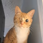 Tammy Schwartz - @tammygal - Instagram