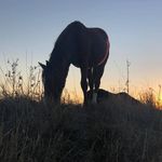 Tammy Schwartz - @tammy.schwartz.98 - Instagram
