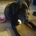 Tammy Schwartz - @tammyschwartz725 - Instagram
