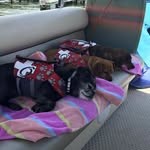 Tammy Schwartzbeck - @tammyschwartzbeck - Instagram