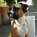 Tammy Schweitzer Schuff - Facebook