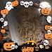 Tammy Seibert - Facebook