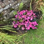 Tammy Seibert - @tseibert1 - Instagram