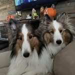 Tammy Seibert Bouchard - @jeganshadow - Instagram