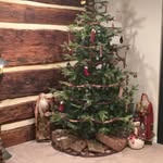 Tammy Seibert Brickner - @seibertbrickner - Instagram