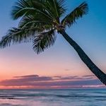 Tammy Craig Seibold - @tammyseibold - Instagram
