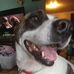 Tammy Seibold - Facebook
