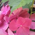 Tammy - @seilertammy92018 - Instagram