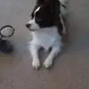 Tammy Sells - @tammy.sells7 - TikTok