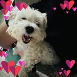 Tammy Loretta Ann - @tammy_shanks_ - Instagram