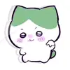 Tammy Shedir - @tammy.shedir - TikTok