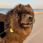 Tammy Sheldon - @luvwine61 - Instagram