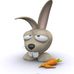 Tammy Shelly - Facebook