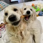 Tammy Gillispie Shingleton - @dtakshingle - Instagram