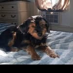 Tammy Shingleton - @ta.mmy7222 - Instagram