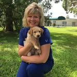Tammy Shipp - @tshipp22 - Instagram