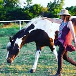 Tammy Shipp McCutchen - @tammyshippmccutchen - Instagram