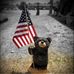 Tammy Jones Shirk - Facebook