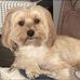 Tammy Shockley - Facebook