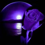 Tammy Shockley - @tammyshockley9877 - Instagram