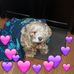 Tammy Shockley - Facebook