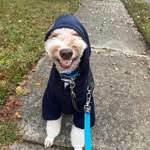 Tammy Shorter - @tammy.shorter - Instagram