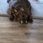 Tammy Shorter - @tshorter12 - Instagram
