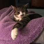 Tammy Shroyer - @tshroyer64 - Instagram