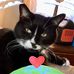 Tammy Shull - Facebook