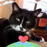 Tammy Shull - @tammy.shull.3 - Instagram