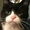 tammyshull202 - @tammyshull202 - TikTok