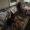 Tammy Shultz145 - @tammyshultz145 - TikTok