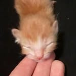 Tammy Shultz - @pluckers5570 - Instagram